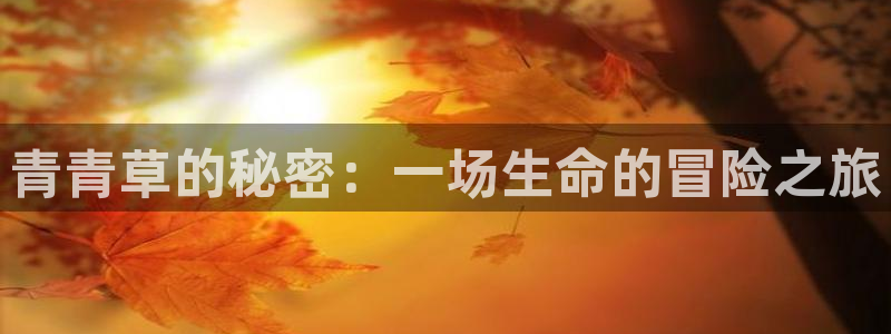 门徒平台注册登录