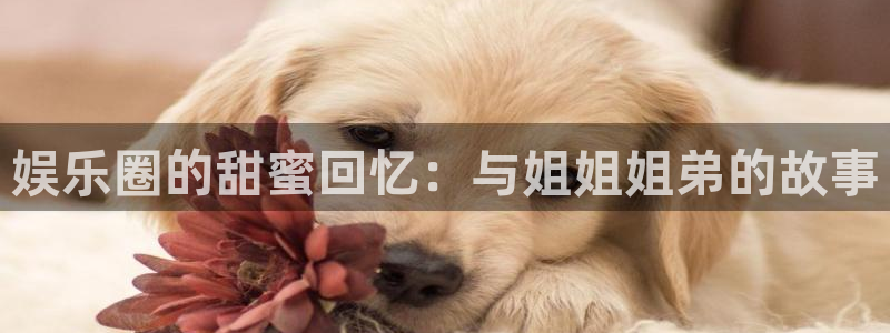 门徒娱乐官网首页