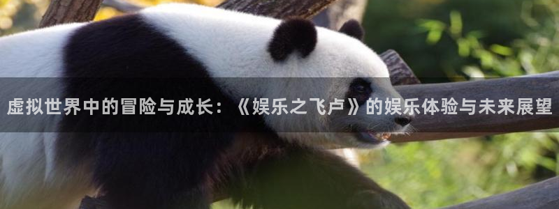 门徒平台注册登录