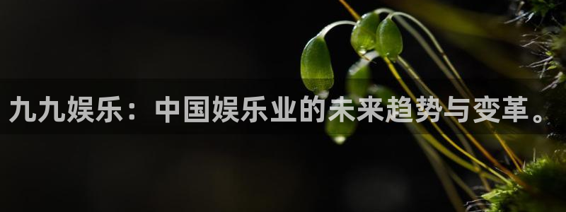 门徒娱乐