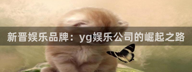 门徒平台登录入口官网注册