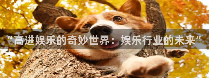 门徒娱乐