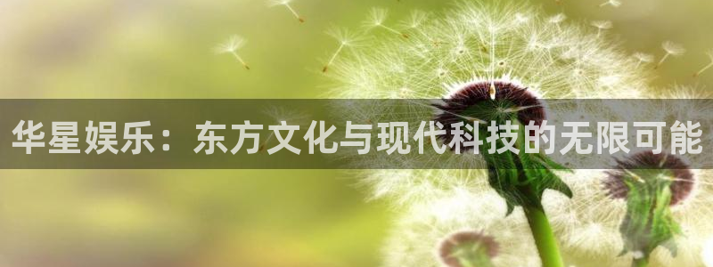 门徒娱乐官方平台入口